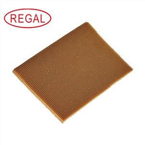 Carbon Fiber Honeycomb Sandwich Panel